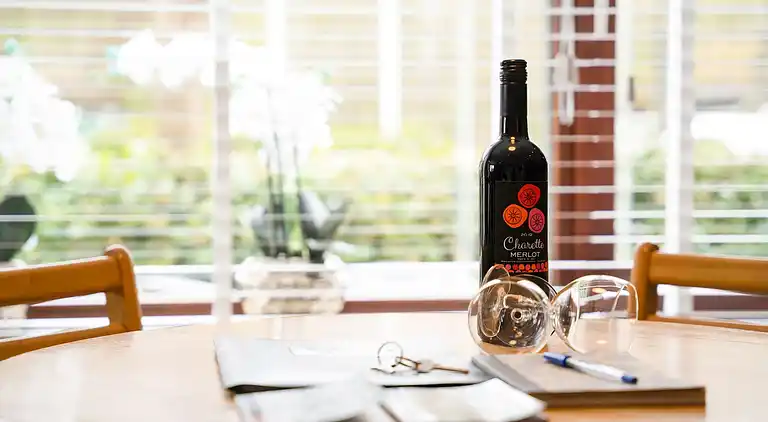 Holiday home in Ulestraten