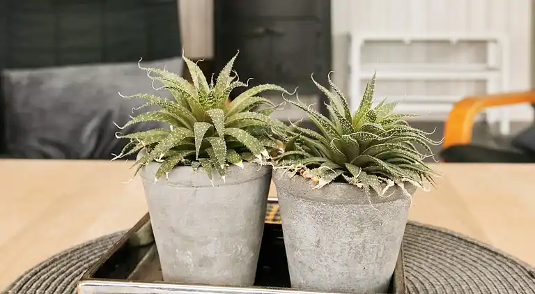 Holiday home in Blokhus