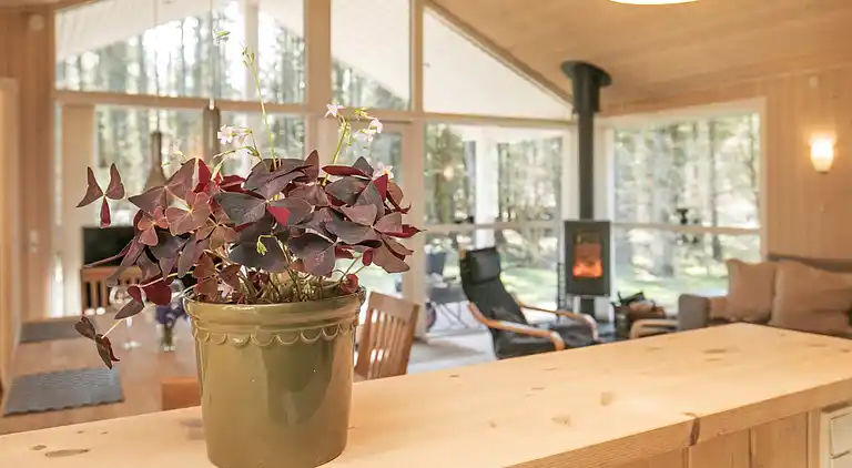 Holiday home in Løkken