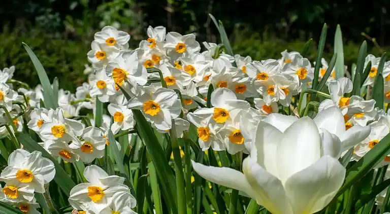 Holiday home in Tunbridge Wells