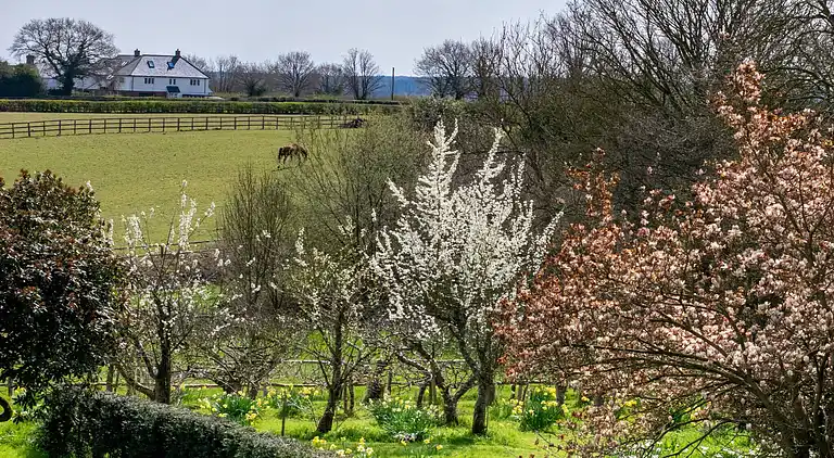 Holiday home in Tunbridge Wells