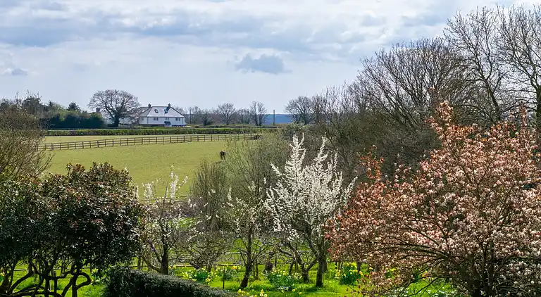 Holiday home in Tunbridge Wells