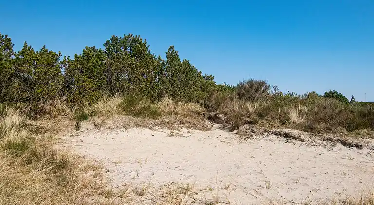Sommerhus i Hvide Sande
