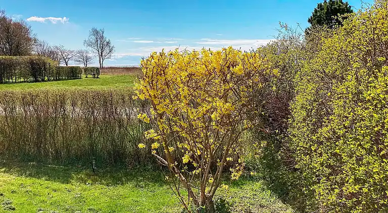 Holiday home in Nysted