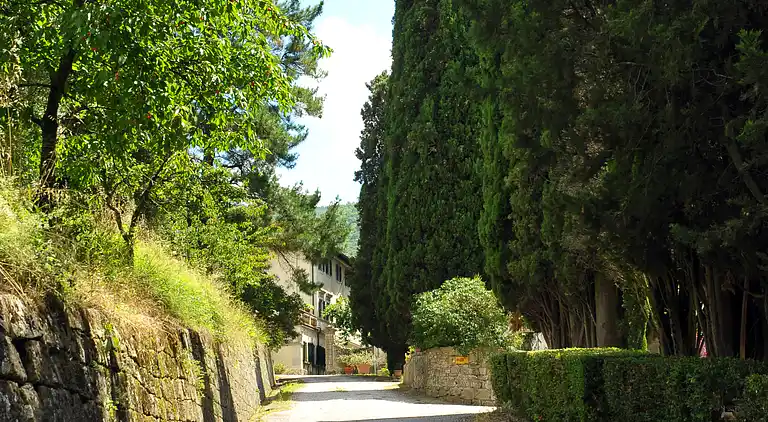 The farmhouse of the Caiano farm -  fenced garden