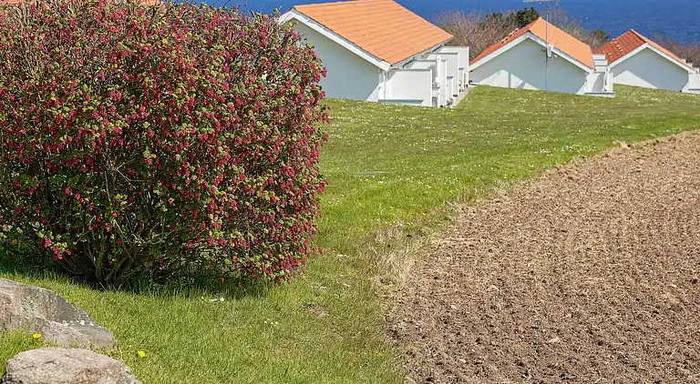 Vakantiehuis in Allinge