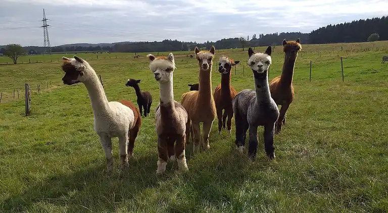 Ferielejlighed i Kierspe