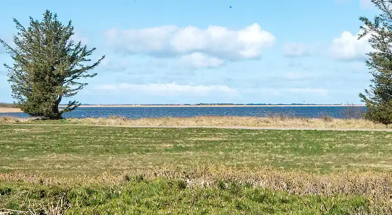 Holiday home in Bork Havn