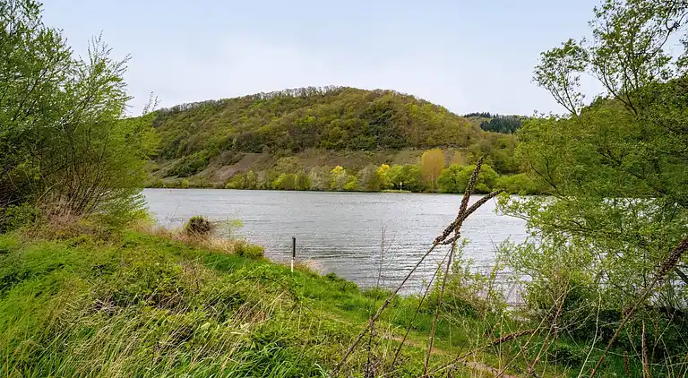 Apartment in Neumagen-Dhron