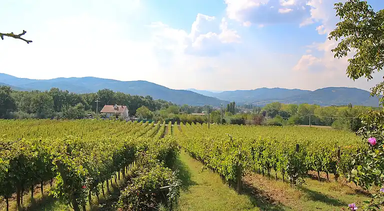 Gårdshus i Umbertide