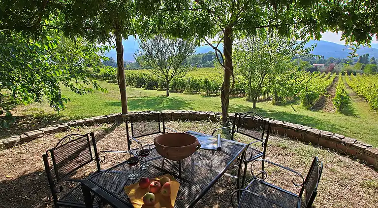 Gårdshus i San Benedetto