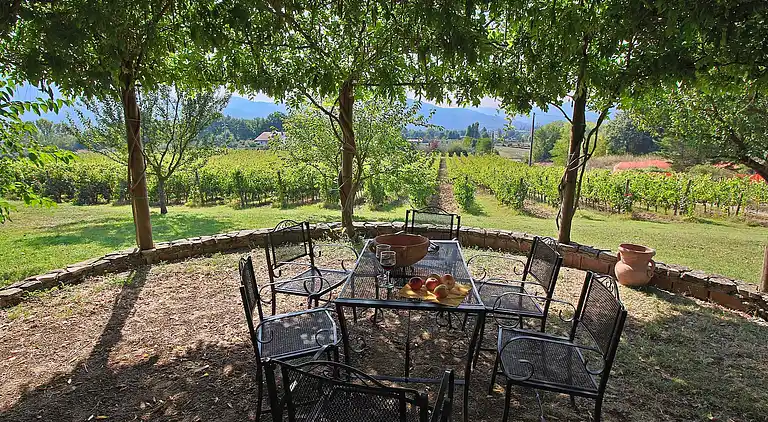 Gårdshus i San Benedetto