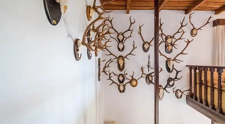 Casa de vacaciones en Aracena