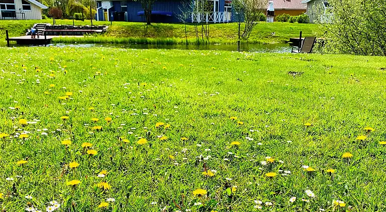 Holiday home in Otterndorf