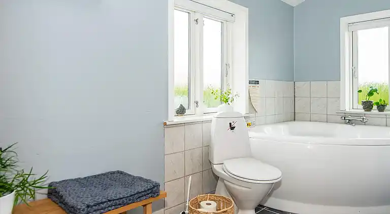 Sommerhus ved Flovt Strand