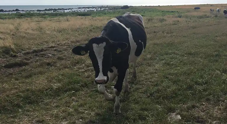 Holiday home in Varberg S