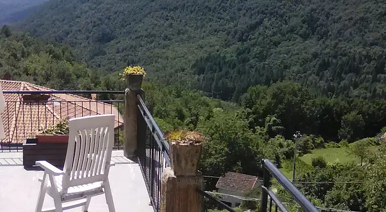 THE GRANDPARENTS' HOUSE