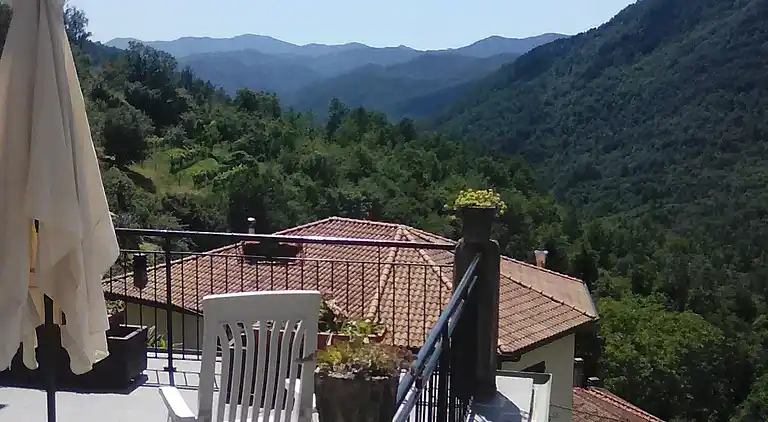 THE GRANDPARENTS' HOUSE