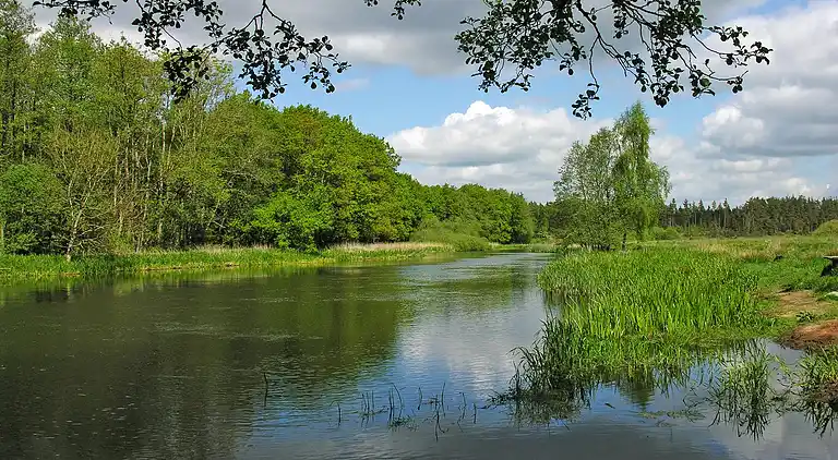 Sommerhus i Fårvang