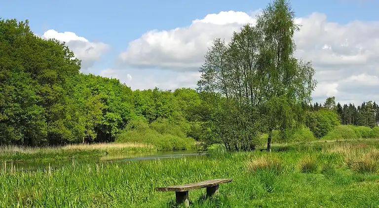 Sommerhus i Fårvang