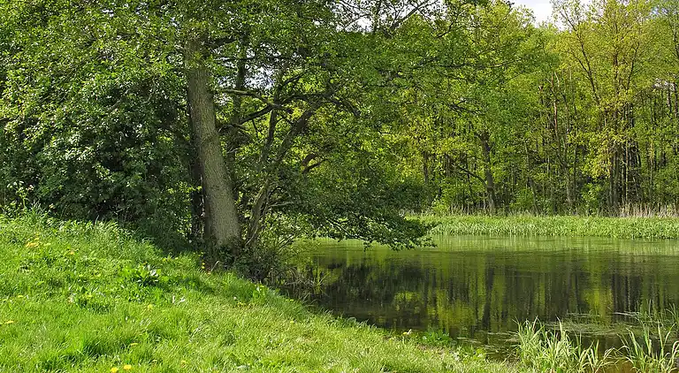 Sommerhus i Fårvang