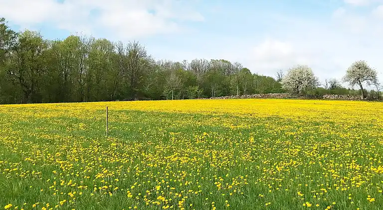 Vakantiehuis in Melldala
