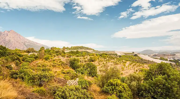 Holiday home in Callosa d'en Sarrià