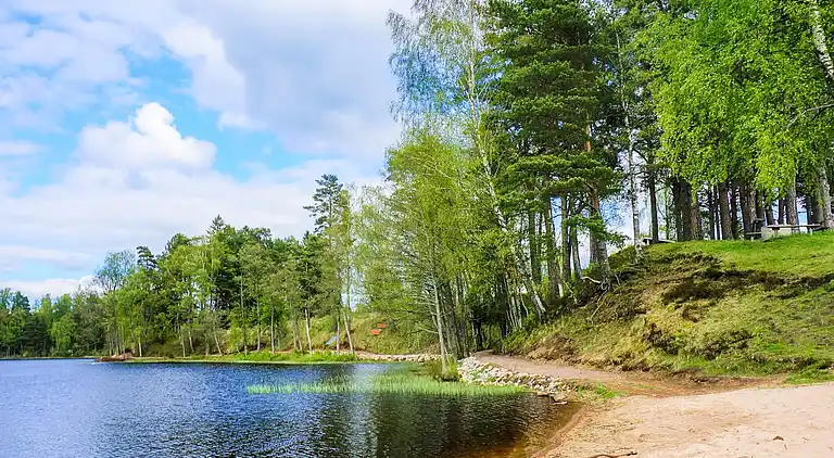 Sommerhus i Mullsjö V
