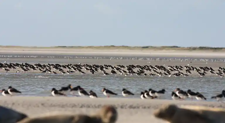 Casa de vacaciones en Machy