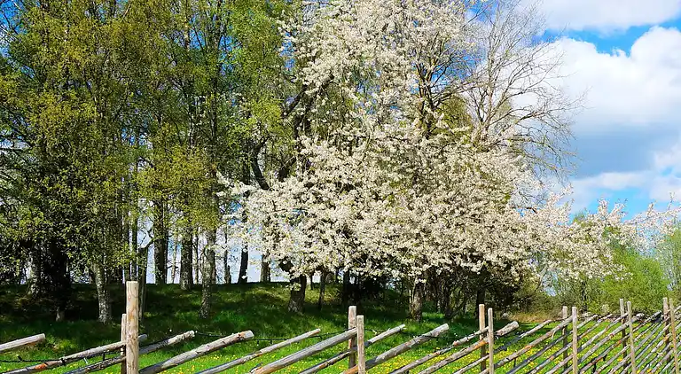 Holiday home in Mullsjö V