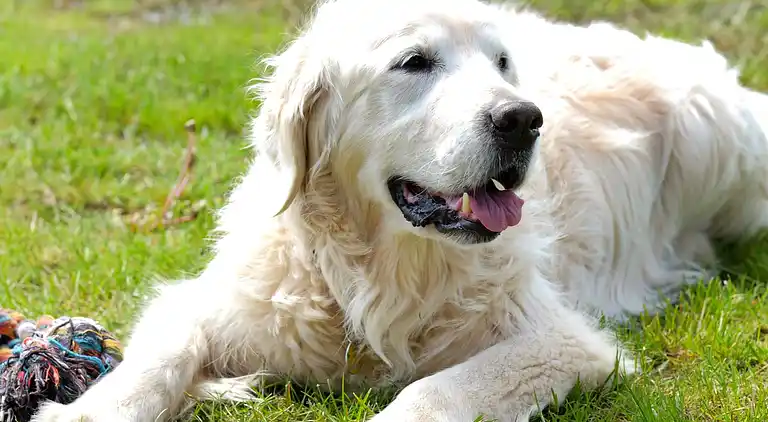 Holiday home in Kattenberg