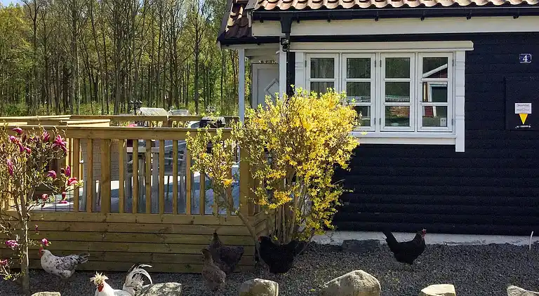 Vakantiehuis in Sölvesborg N