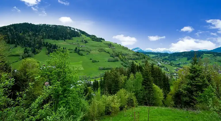 Ferielejlighed i Haus