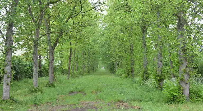 Holiday home in Serinchamps