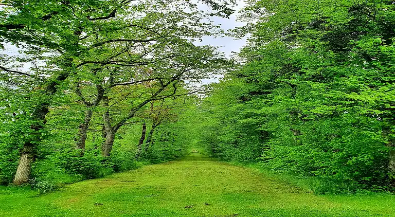 Holiday home in Serinchamps