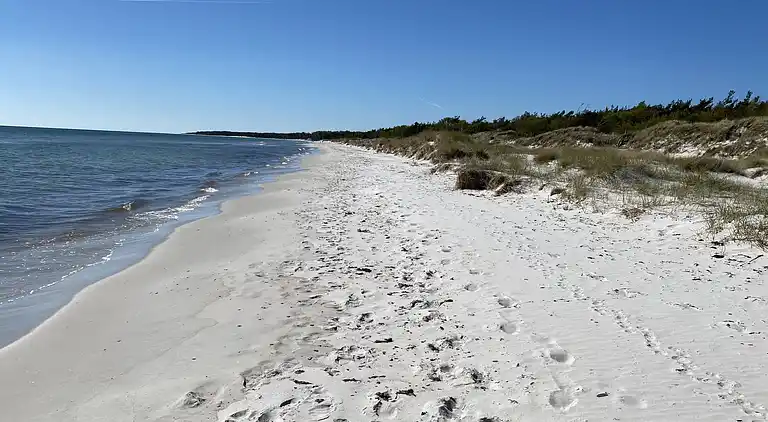 Naturskønt sommerhus nær skov og strand