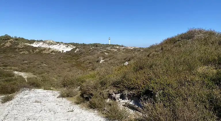 Naturskønt sommerhus nær skov og strand