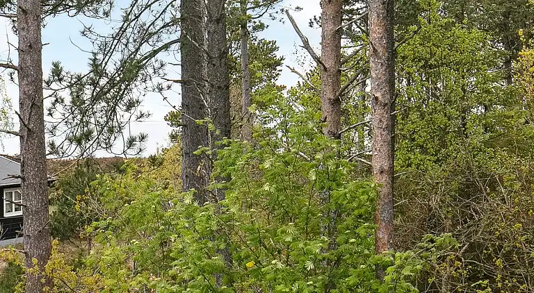 Vakantiehuis in Vesterø Havn