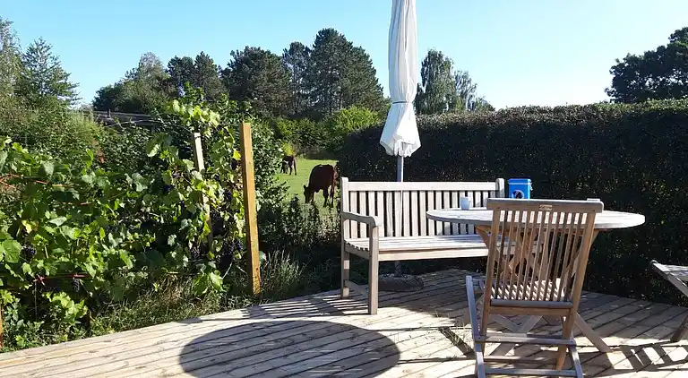 Scenic summer house near quiet lapping waves