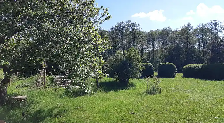 Scenic summer house near quiet lapping waves