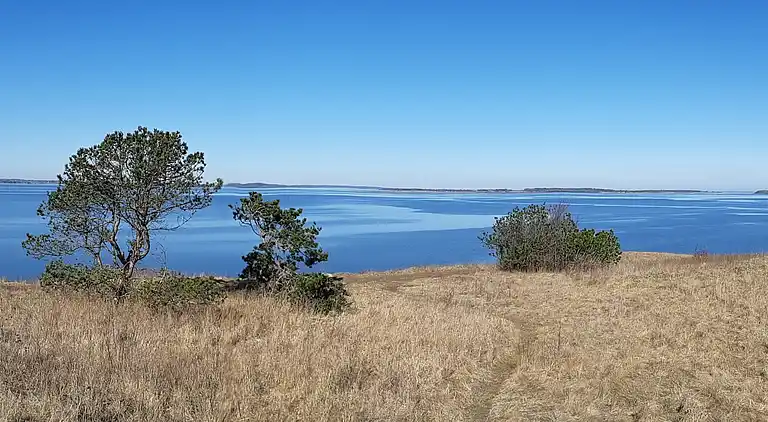 Scenic summer house near quiet lapping waves