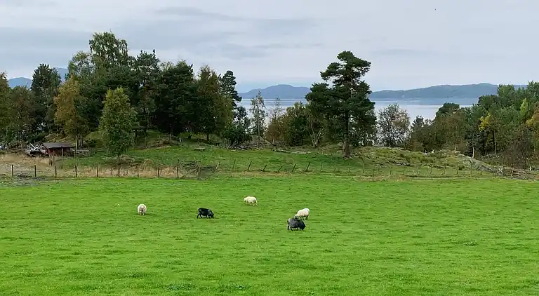 Holiday home in Mortveit