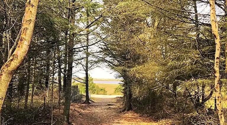 Holiday home in Nørre Fjand