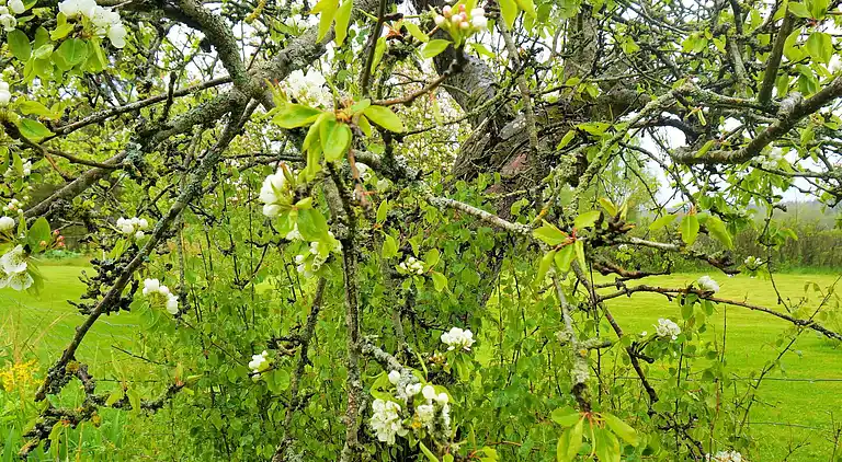 Holiday home in Gullspång S