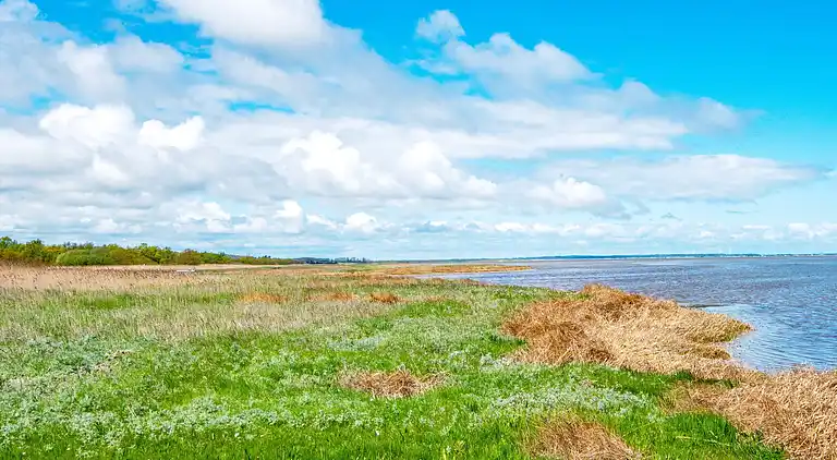 Holiday home in Ørsted