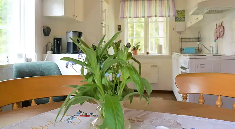 Holiday home in Alvared