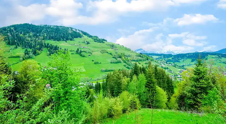 Ferielejlighed i Haus