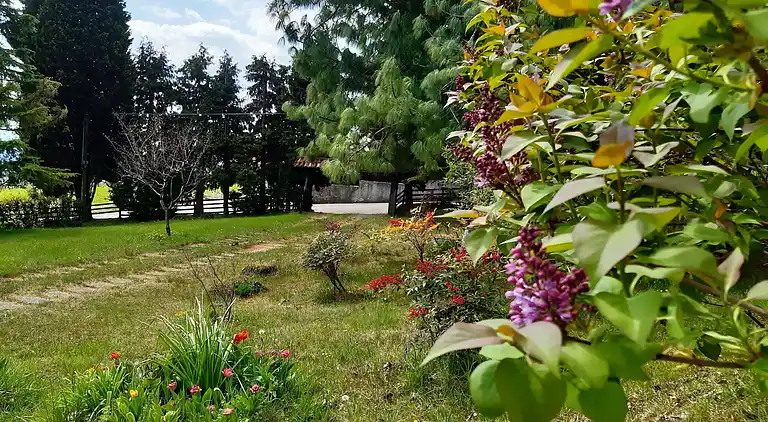 Cottage in Pieve del Grappa