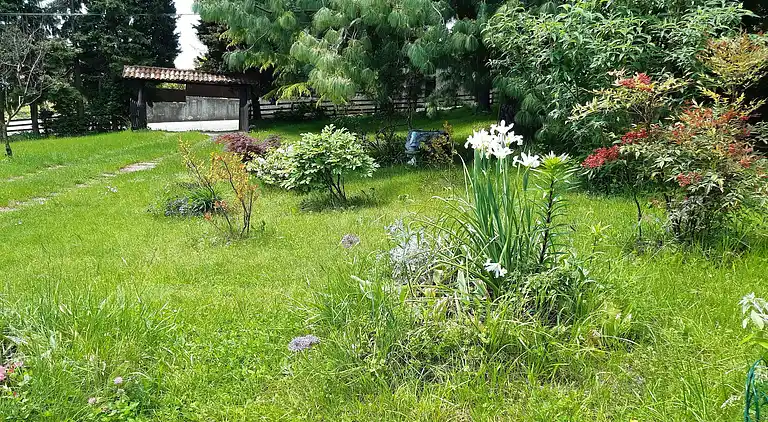 Cottage in Pieve del Grappa