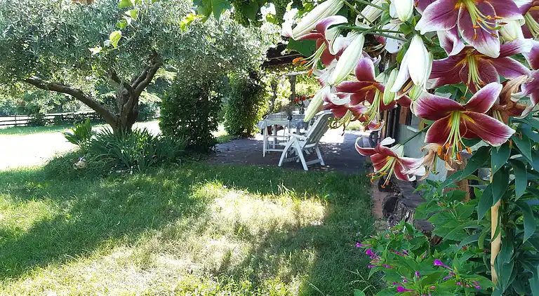 Cottage in Pieve del Grappa